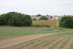 Industry proves that Yorkshire fields are forever fertile