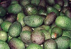 Hass avocados could soon be at the centre of a free trade row between the US and Mexico