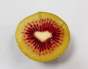 Red kiwifruit Italy