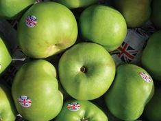 Bramley campaign in Diamond coup