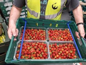 BerryWorld FareShare