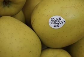 FR Golden Delicious apples