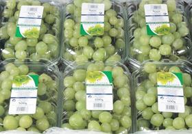 Indian grapes Capespan