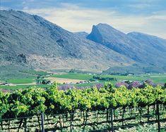 SATI unites South African industry