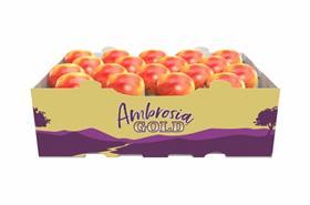 Ambrosia Gold