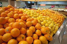 AU Australia US navel oranges in Coles supermarket with lemons mandarins