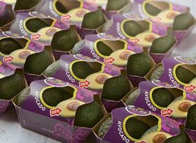 Nature's Pride cardboard avocado packaging