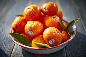 Delite mandarins