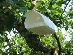 Pest management is attracting massive investment for Exosect