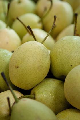Chinese fragrant pear