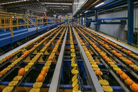 Mildura Fruit Company - Citrus Sorting Line