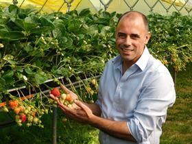 Professor Mario Caccamo