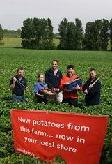 Some growers can get the potatoes in stores in 15 minutes