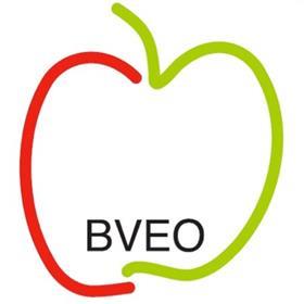 BVEO logo
