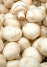 Sharp fall in mushroom growers