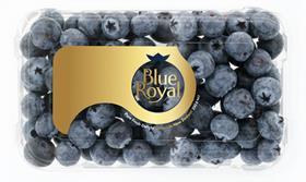 Our berries – Blue Royal