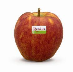 Rubens campaign ramped up