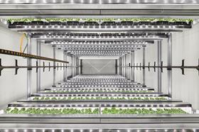 GE_Infarm High-Capacity Farming Unit_Credit_Infarm_diephotodesigner.de