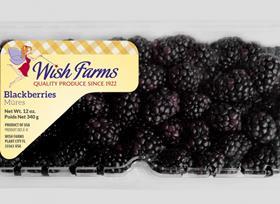 Wish Farms blackberries