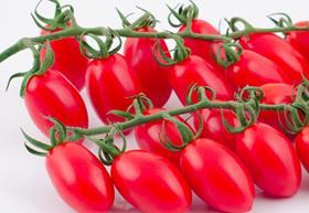 CaparrÃ³s premium tomato