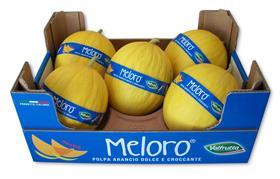 IT Meloro Valfrutta Fresco melons