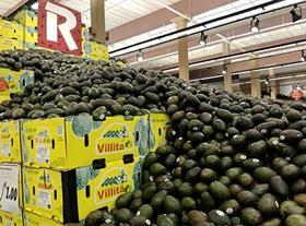 Avo world record