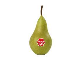 BE BelOrta Migo pear