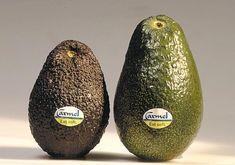 Israeli avocado up