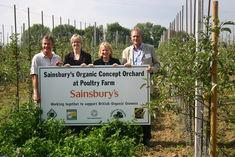Organic Concept Orchard unveiled