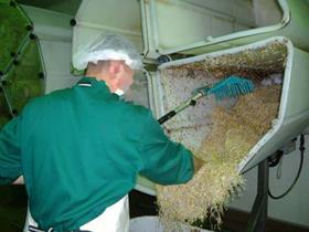 Beansprouts Sprossfit Bienenbuettel Gaertnerhof