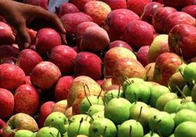 Apples pears generic