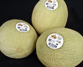 Melons HarvestMark SunAmerica Imports