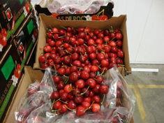 Total Cherry have received Spanish arrivals