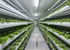 Smart Acres hydroponic farm