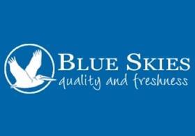 Blue Skies logo