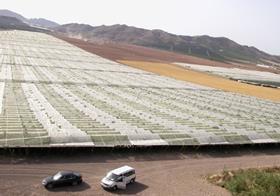 greenhouses