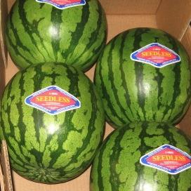Clink seedless watermelons