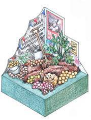 Potatoes from across time