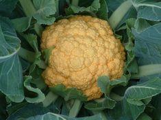 Rising to the cauli challenge