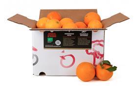 ES CREDIT Oxfam Intermon TAGS mandarins oranges fair trade Valenica