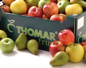 Thomar Staay Frupaks