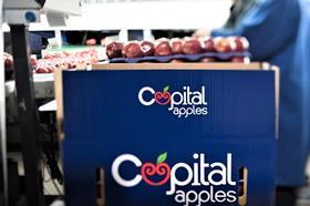 Capital_apples