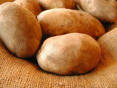 Potatoes could reach stores in record time