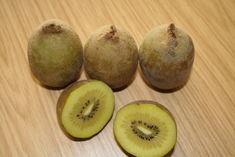 Kiwifruit 'helps clear cold symptoms'