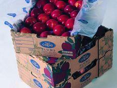 Capespan is changing the face of its plum offer