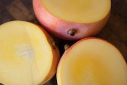Australian mangoes generic R2E2 Kensington Pride Calypso