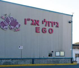 Ego Israel potato exporter