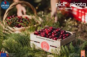 Pick a Picota cherry campaign