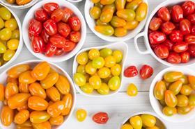 Rijk Zwaan snacking tomato varieties