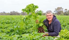 AU Western Australia potatoes Vaughn Carter